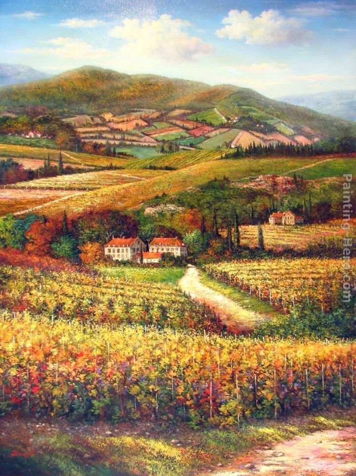 2011 Tuscan Vineyards & Villas